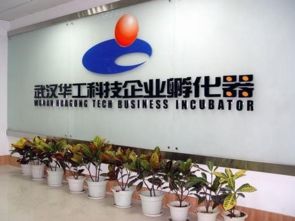 光谷孵化器眾創空間大閱兵 上篇——信息技術咨詢服務的新篇章